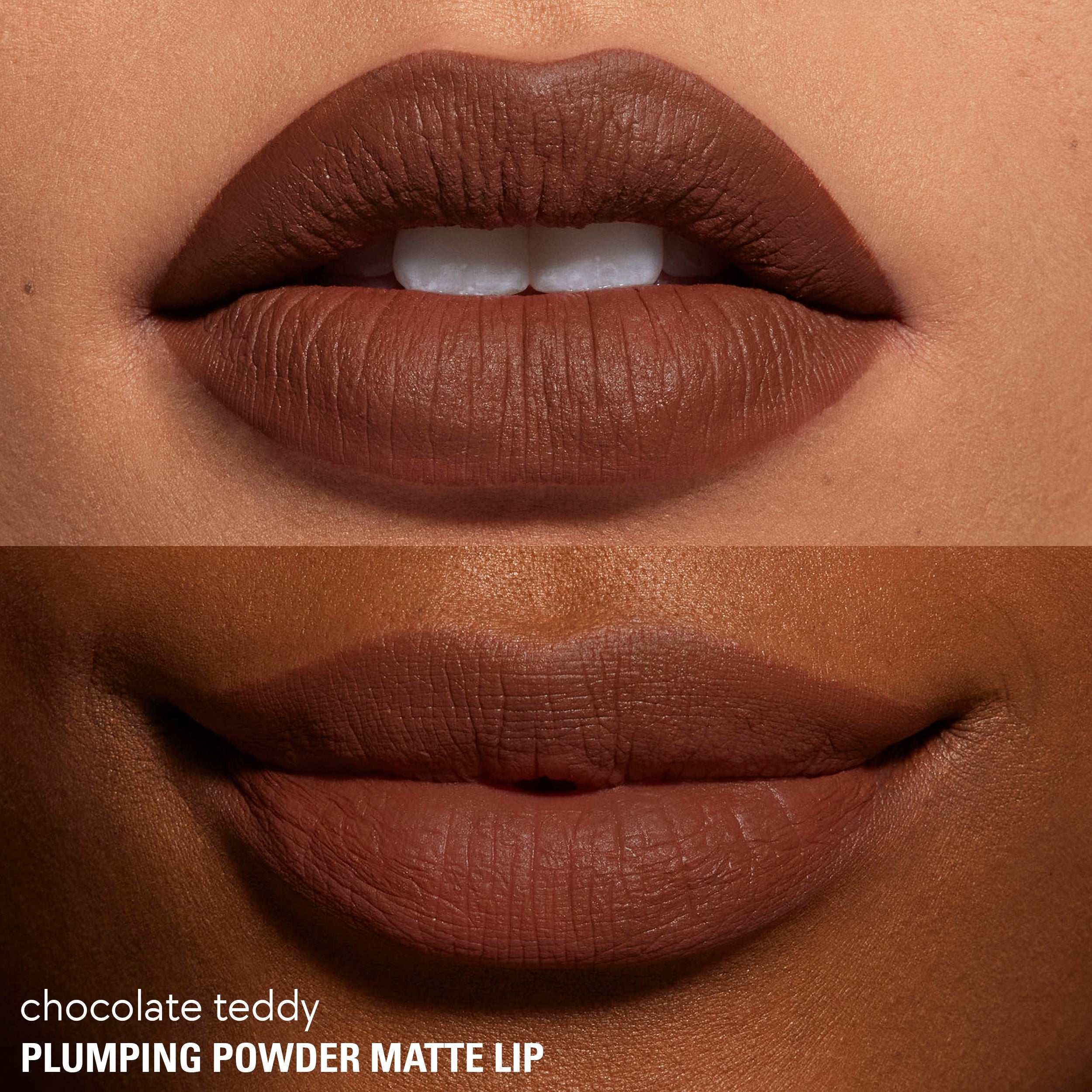 Plumping Powder Matte Lip