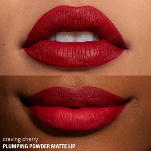 Plumping Powder Matte Lip