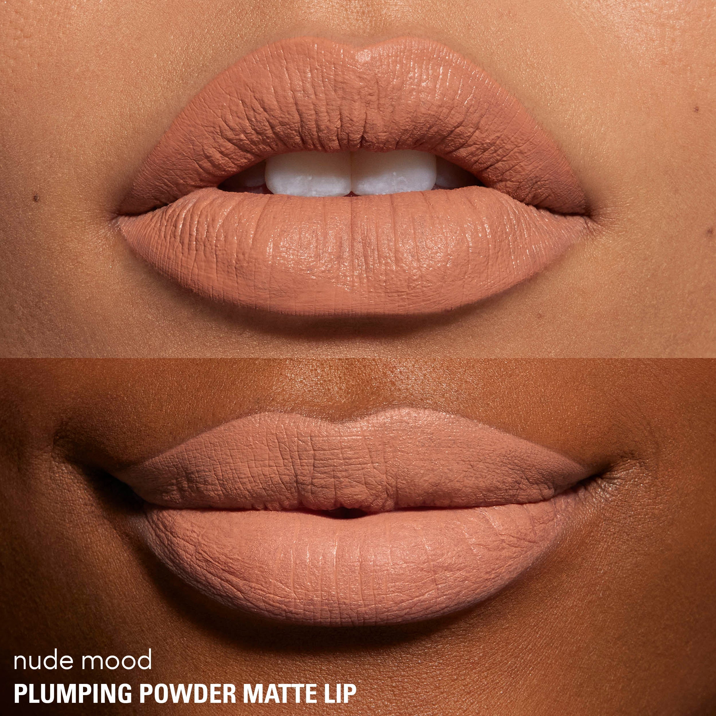 Plumping Powder Matte Lip