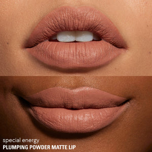 Plumping Powder Matte Lip