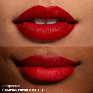 Plumping Powder Matte Lip