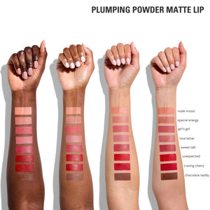 Plumping Powder Matte Lip & Lip Liner Duo