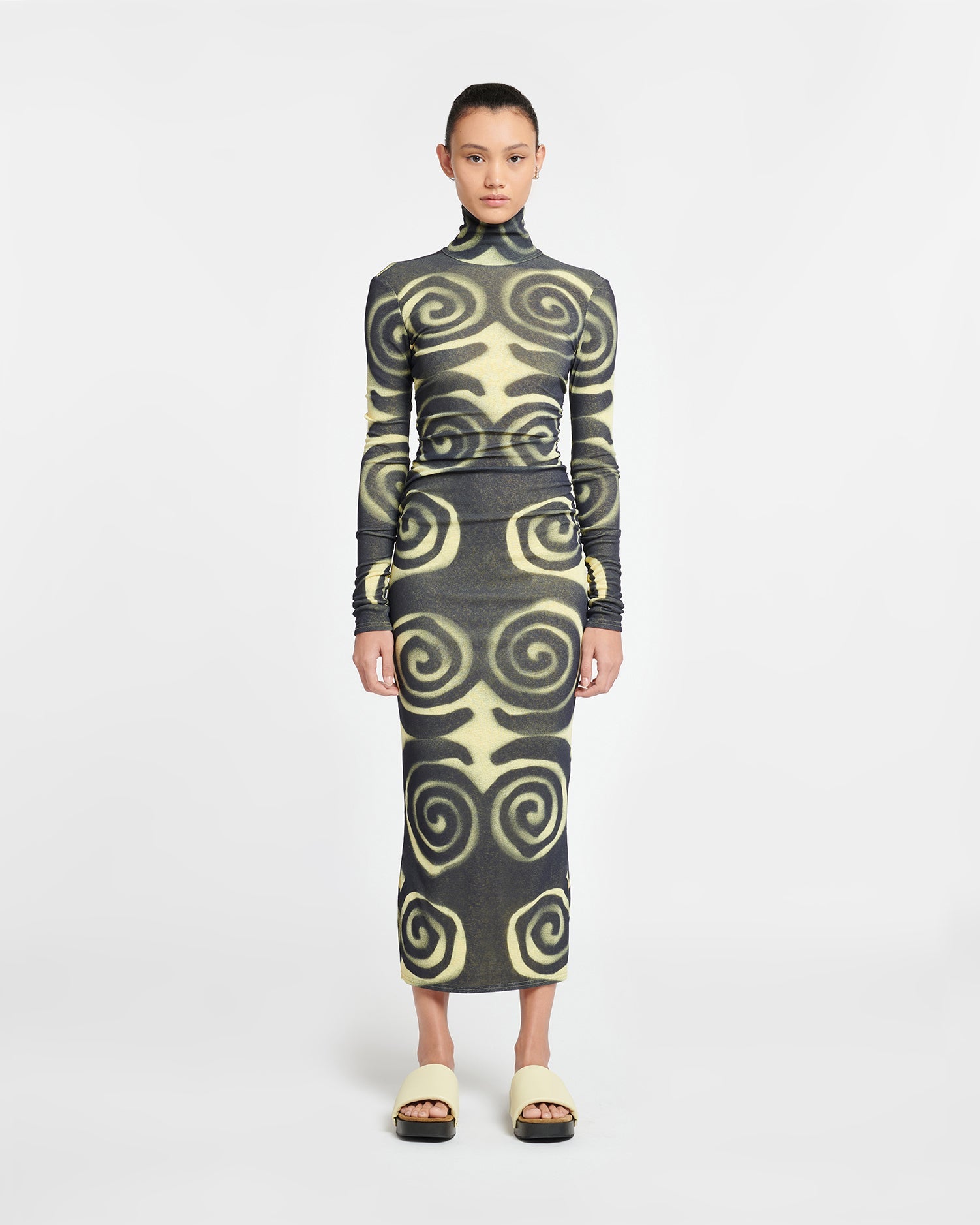 Cardia - Mesh-Jersey Turtleneck Dress - Spiral Spray