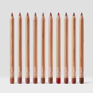 Precision Pout Lip Liner Bundle