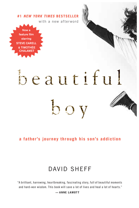 Beautiful Boy: A Father's Journey Through His Son's Addiction