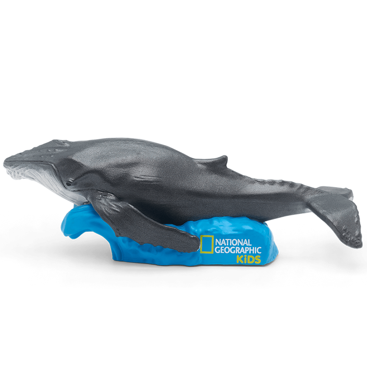 National Geographic Kids: Whale Tonie