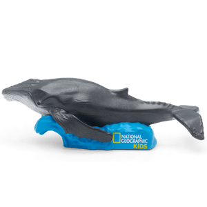 National Geographic Kids: Whale Tonie