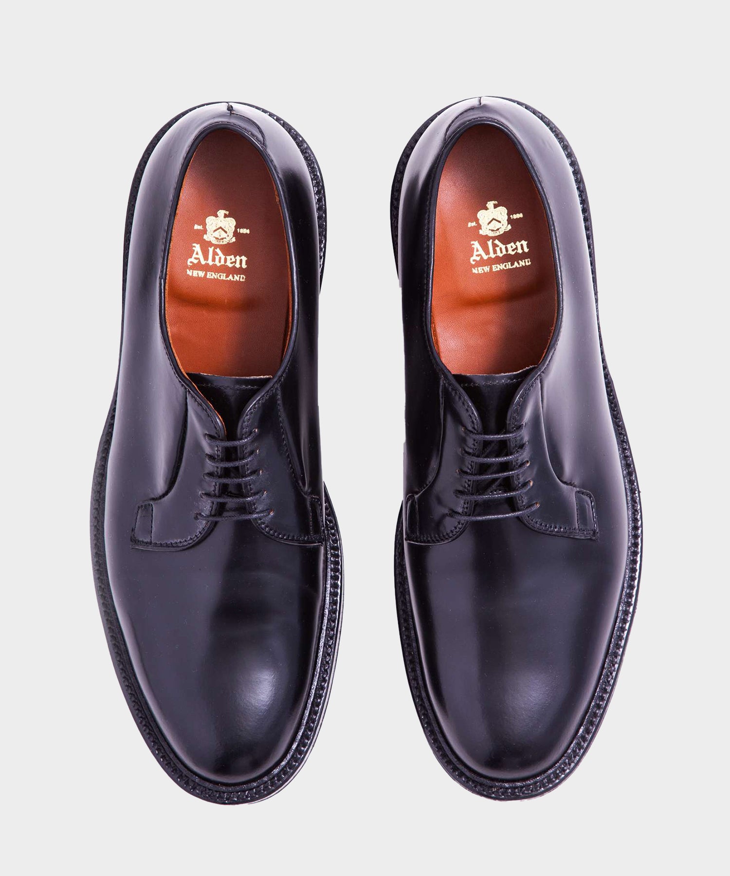 Alden Cordovan Plain Toe Blucher In Black