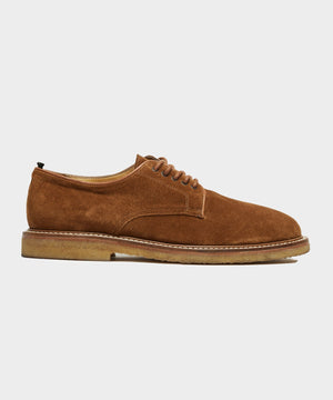 Nomad Derby Shoe in Tobacco