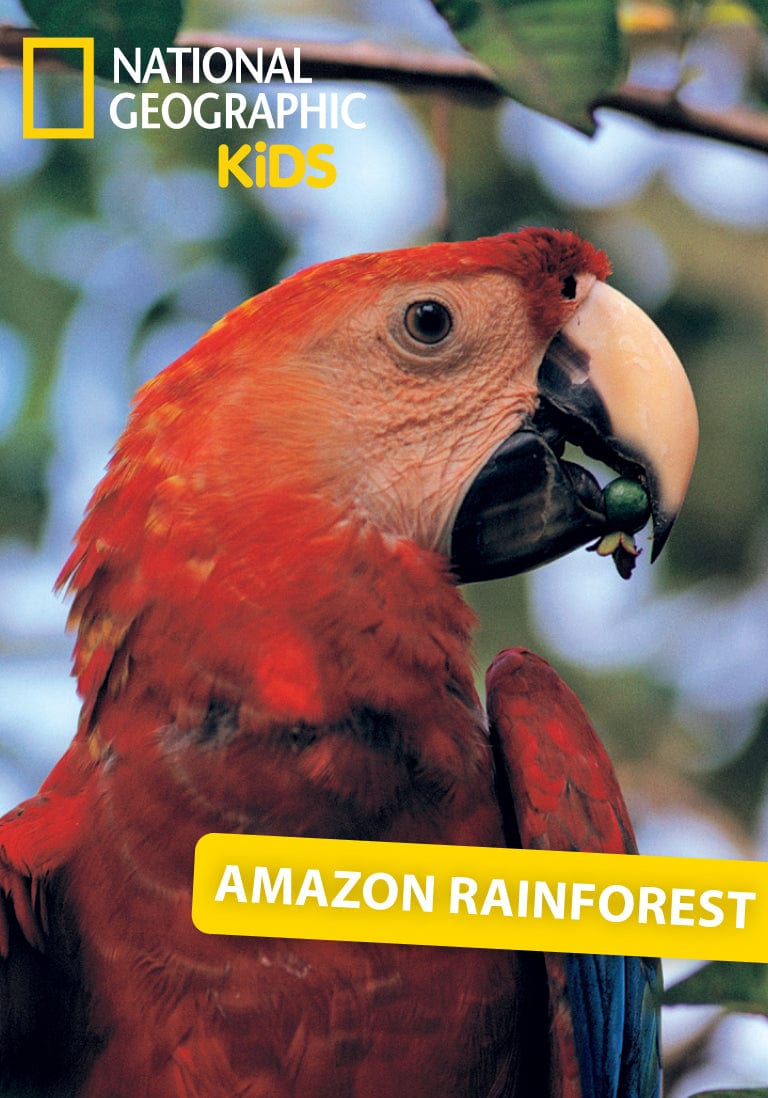 National Geographic Kids: Amazon Rainforest Tonie