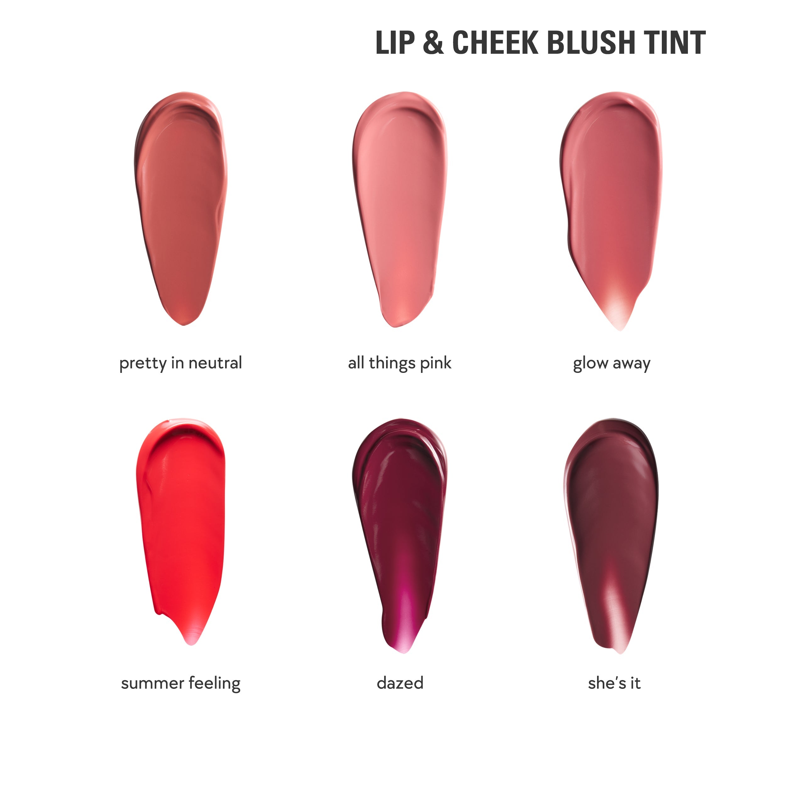 Lip & Cheek Blush Tint & Precision Pout Lip Liner Duo